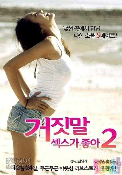 《性是谎言2》韩国R级限制电影/超大尺寸